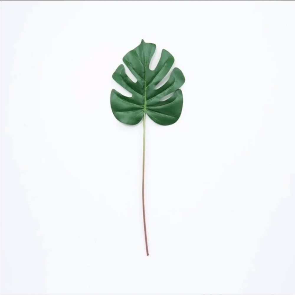 Magnolia home monstera leaf bundle